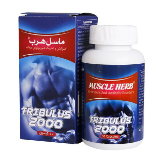 کپسول تریبولوس ماسل هرب بسته 60 عددی بهتا دارو - 01