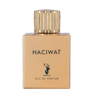 ادوپرفیوم مردانه مدل Haciwat حجم 100 میلی لیتر پاپیلو