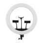 رینگ لایت مدل FM-21R