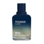 ادوپرفیوم مردانه مدل Pegasus Haltain حجم 100 میلی لیتر