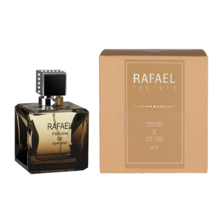 ادوپرفیوم مردانه آی استار مدل Rafael با رایحه سیلور سنت حجم 100 میلی لیتر - 01