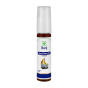 روغن سیاهدانه