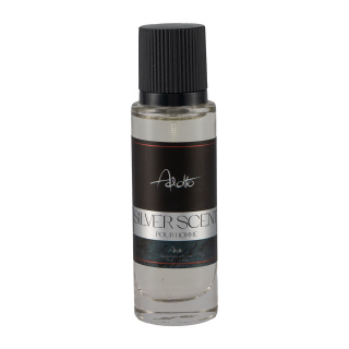 عطرجیبی مردانه مدل Silver Scent حجم 35 میلی لیتر آدولفو