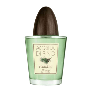 ادو تویلت مردانه پینو سیلوستره مدل Acqua Di Pino Fougere حجم 125 میلی لیتر