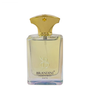 عطر جیبی مردانه فیت 33میل برندینی