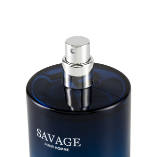 ادوپرفیوم مردانه مدل Sauvage Pour Homme حجم 100 میلی لیتر آروما - 01