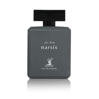 ادوپرفیوم مردانه مدل Narsis حجم 100 میلی لیتر اسپیگان
