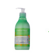کرم مرطوب کننده پمپی سری فروتی با اسانس مانگو 375میل هندولوژی