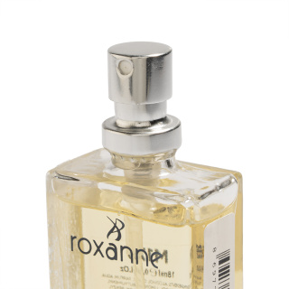 عطر جیبی مردانه مدل AZZARO CHEROME حجم 18 میلی لیتر رکسان - 01
