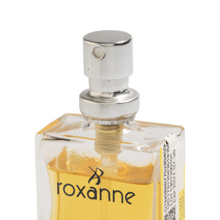 عطر جیبی مردانه مدل Blue Chanel حجم 18 میلی لیتر رکسان - 01