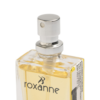 عطر جیبی مردانه با رایحه عطر هرمس حجم 18 میلی لیتر رکسان - 01