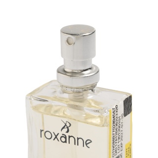 عطر جیبی مردانه با رایحه عطر Polo Black حجم 18 میلی لیتر رکسان - 01