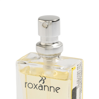 عطر جیبی مردانه با رایحه Ultramarine حجم 18 میلی لیتر رکسان - 01