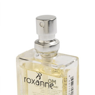 عطر جیبی مردانه با رایحه عطر Aventus حجم 18 میل لیتر رکسان - 01