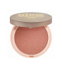 رژگونه هایلایتر مدل Obsession Compact