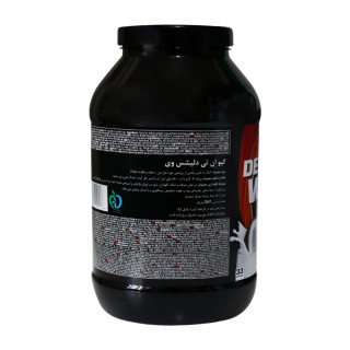 پودر پروتئین وی کیو ان تی مدل Delicious با طعم نارگیل وزن 1000 گرم - 01