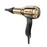 سشوار مدل Steel Master Light ولرا