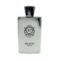عطر مردانه مدل Silver Hot Sense حجم 100 میلی لیتر