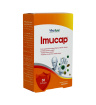 سافت ژل Imucap بسته 30 عددی ویواتیون
