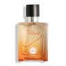 عطر جیبی مردانه مدل Terre D Hermes حجم 35 میلی لیتر النترا تاینی