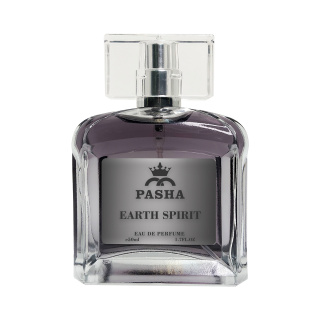 ادوپرفیوم مردانه پاشا مدل Earth Spirit حجم 50 میلی لیتر