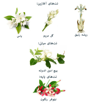 ادو پرفیوم زنانه مدل Gucci Bloom حجم 100 میلی لیتر گوچی - 04