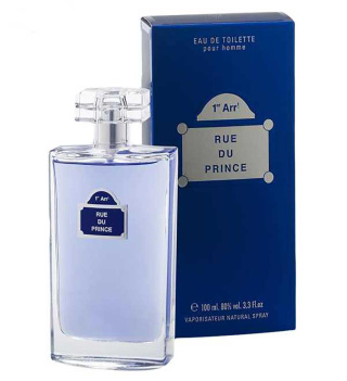 ادوتویلت مردانه دینا پرفیومز مدل Rue Du Prince حجم 100 میلی لیتر