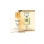 عطر جیبی زنانه مدل Coco Mademoiselle شماره 99 حجم 15 میل