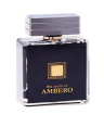 ادو پرفیوم مردانه Ambero حجم 100 میل فراگرنس ورد