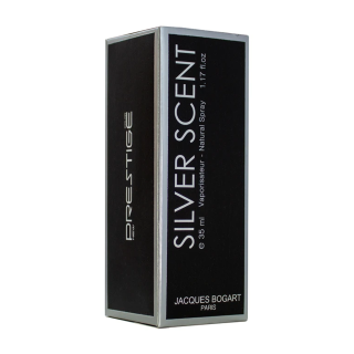 عطر جیبی مردانه مدل Silver Scent حجم 35 میلی لیتر پرستیژ - 01