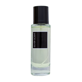 عطر جیبی مردانه مدل Silver Scent حجم 35 میلی لیتر پرستیژ