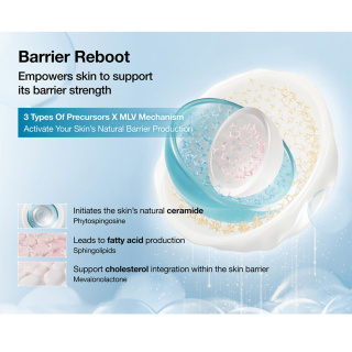 کرم ژل آبرسان Barrier Reboot تقویت کننده سد دفاعی پوست حجم 100 میلی لیتر آنوا - 05