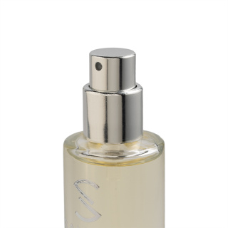 عطر جیبی مردانه مدل Gio حجم 33 میلی لیتر صندل - 01