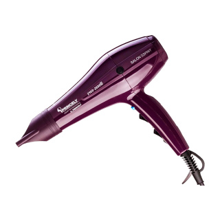 سشوار پرنسلی مدل PR250AT - 01