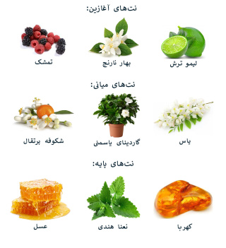 ادوپرفیوم زنانه لیدی میلیون پاکو رابان - 04