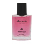 عطر جیبی مردانه مدل Silver Scent حجم 30 میلی لیتر