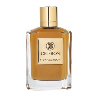 ادوپرفیوم مردانه مدل Stunning Odor حجم 100 میلی لیتر سلبون