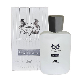 ادوپرفیوم مدل Galloway حجم 100 میلی لیتر نایس پاپت
