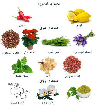 ادوپرفیوم مردانه دیور مدل Sauvage حجم 200 میلی لیتر - 01