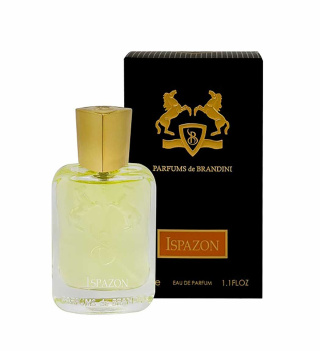 عطر مردانه برندینی مدل Ispazon حجم 33 میلی لیتر