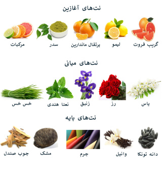 ادو پرفیوم زنانه مدل Shalimar حجم 90 میل گرلین - 05