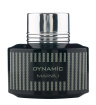 ادوپرفیوم مردانه مدل Dynamic حجم 100 میلی لیتر ماریاژ