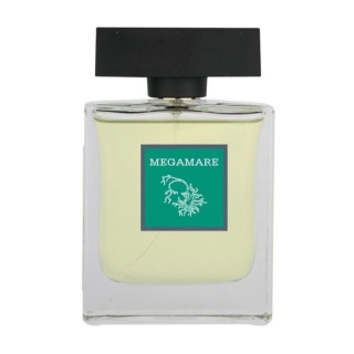 ادوپرفیوم مردانه مدل Megamare حجم 100 میلی لیتر پرستیژ