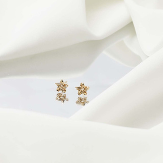 گوشواره طلا 18عیار مدل میسان - 01